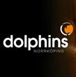 Norrköping Dolphins